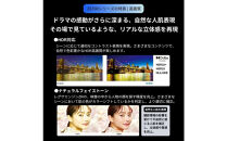 TVS&nbsp;REGZA【標準設置費込み】液晶テレビ&nbsp;REGZA&nbsp;(&nbsp;レグザ&nbsp;)&nbsp;43V型&nbsp;[&nbsp;Bluetooth対応&nbsp;/&nbsp;4Kチューナー内蔵&nbsp;/&nbsp;YouTube&nbsp;対応&nbsp;]&nbsp;43Z870R&nbsp;【&nbsp;テレビ&nbsp;TV&nbsp;43型&nbsp;43インチ&nbsp;43V&nbsp;液晶&nbsp;4K&nbsp;Z870R&nbsp;series&nbsp;ハイグレードモデル&nbsp;家電&nbsp;人気&nbsp;おすすめ&nbsp;】