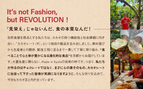 【Premarché Cacaolate Lab】国際コンテスト入賞店の手づくりチョコレート 産地食べ比べ3枚セット ＜セットB＞｜京都 チョコレート専門店 人気セット［ 手作りチョコ カカオ産地食べ比べ おいしい 人気 おすすめ お菓子 洋菓子 スイーツ お取り寄せ 通販 送料無料 ふるさと納税 ］