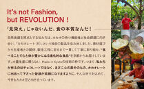 【Premarché Cacaolate Lab】国際コンテスト入賞店の手づくりチョコレート 産地食べ比べ6枚セット ＜セットB＞｜京都 チョコレート専門店 人気セット［ 手作りチョコ カカオ産地食べ比べ おいしい 人気 おすすめ お菓子 洋菓子 スイーツ お取り寄せ 通販 送料無料 ふるさと納税 ］