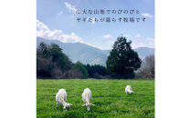 【2026年発送分 先行予約】ペット用ヤギミルク 90ml×20パック（冷凍） 犬 猫 国産 愛媛県産 牧場直送 低温殺菌 生ヤギミルク