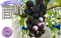 数量限定&nbsp;訳あり&nbsp;不揃い&nbsp;有田産&nbsp;巨峰&nbsp;約&nbsp;2kg&nbsp;有田&nbsp;巨峰村&nbsp;森下農園&nbsp;ぶどう&nbsp;送料無料&nbsp;フルーツ