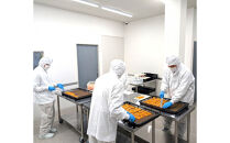 無添加ドライフルーツ(キウイ)16g×2袋入【 神奈川県小田原市 】