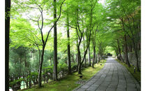 京都しょうざん カップインオードブル（滋賀県草津市で製造）｜洋風 おせち 1段 2人前 3人前 正月 新春 2026年 令和8年 お祝い おせち料理 お取り寄せ