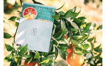 屋久島たんかん&nbsp;エイジングケアシートマスク　1枚