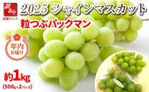 【2025年内即日発送】【12月25日ご入金確認分まで】  B シャインマスカット　粒つぶパックマン【訳ありパック】 2パック　約1キロ　長野県産国際特許有機肥料栽培｜ シャインマスカット 果物 フルーツ ぶどう ブドウ  食べきりサイズ 人気 おすすめ 葡萄  ギフト 送料無料 長野県 大町市
