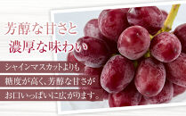 2025&nbsp;&nbsp;クイーンルージュ®　【訳あり粒抜け】　複数房　約1kg弱【10月初旬頃～順次発送予定】　長野県産　国際特許有機肥料栽培　