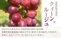 【先行予約】2026&nbsp;&nbsp;クイーンルージュ®　【訳あり粒抜け】&nbsp;複数房&nbsp;約1kg弱【10月初旬頃～順次発送予定】　長野県産　国際特許有機肥料栽培｜&nbsp;クイーンルージュ&nbsp;ぶどう&nbsp;わけあり&nbsp;リピーター多数&nbsp;数量限定&nbsp;フルーツ&nbsp;大粒&nbsp;人気&nbsp;おすすめ&nbsp;葡萄&nbsp;ギフト&nbsp;送料無料&nbsp;長野県&nbsp;大町市