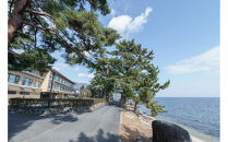 【ホテル琵琶レイクオーツカ】平休日1泊2食付ペア宿泊券《【本館】和室》