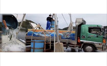 元祖 博多ごまさば　 1皿３～４人前