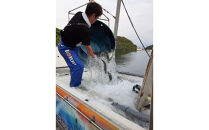 元祖 博多ごまさば　 1皿３～４人前