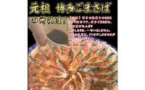 元祖&nbsp;博多ごまさば　&nbsp;1皿３～４人前