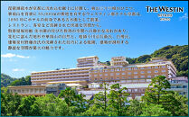 【ウェスティン都ホテル京都】洋風オードブル二段重&nbsp;3人前≪大丸京都店おすすめ品≫｜京都&nbsp;ホテル特製おせち&nbsp;人気おせち［&nbsp;京都&nbsp;東山&nbsp;ラグジュアリーホテル&nbsp;洋風おせち&nbsp;2段&nbsp;3人&nbsp;グルメ&nbsp;美食&nbsp;おいしい&nbsp;人気&nbsp;おすすめ&nbsp;2026&nbsp;正月&nbsp;お祝い&nbsp;お取り寄せ&nbsp;通販&nbsp;送料無料&nbsp;年内配送&nbsp;ふるさと納税&nbsp;］