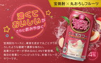 【宝酒造】寶「丸おろしスタンド」＜ピーチサワー＞（350ml×24本）｜京都 タカラ 焼酎  酎ハイ ハイボール 人気セット ［ 京都 タカラ 皮までまるごと 贅沢＆本格サワー 人気 おすすめ お酒 焼酎 酎ハイ サワー カクテル 晩酌 日常使い ご自宅用 ギフト プレゼント お取り寄せ 通販 送料無料 ふるさと納税 ］