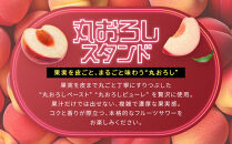 【宝酒造】寶「丸おろしスタンド」＜ピーチサワー＞（350ml×24本）｜京都 タカラ 焼酎  酎ハイ ハイボール 人気セット ［ 京都 タカラ 皮までまるごと 贅沢＆本格サワー 人気 おすすめ お酒 焼酎 酎ハイ サワー カクテル 晩酌 日常使い ご自宅用 ギフト プレゼント お取り寄せ 通販 送料無料 ふるさと納税 ］