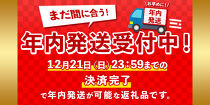 年内発送【数量限定】鹿児島県産うなぎ蒲焼き　約130g×2尾