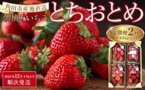 【定期便2回】【角田市産地直送】朝摘みいちご「とちおとめ」合計約1kg（250g×4パック）
