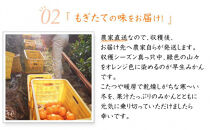 早生みかん 約6kg 大玉 2L・3Lサイズおまかせ 《ご家庭用》 ちょっと訳あり 和歌山県産 農園直送 まごころ産直みかん 【北海道・沖縄県・一部離島 配送不可】大きい 蜜柑 温州みかん わけあり 訳アリ ［Mg60］