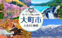 りんご&nbsp;ジュース&nbsp;セット&nbsp;30本&nbsp;×&nbsp;180ml&nbsp;大町産&nbsp;|&nbsp;ジュース&nbsp;農家直送&nbsp;&nbsp;果汁100%&nbsp;&nbsp;大容量&nbsp;国産りんご&nbsp;人気&nbsp;おすすめ&nbsp;飲料&nbsp;フルーツ&nbsp;朝食&nbsp;美容&nbsp;健康&nbsp;ギフト&nbsp;送料無料&nbsp;長野県&nbsp;大町市&nbsp;ふるさと納税