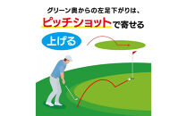 ゴルフクラブ&nbsp;ドルフィンウェッジ&nbsp;DW-225&nbsp;レディース&nbsp;カーボンシャフト&nbsp;&nbsp;ロフト角55°&nbsp;キャスコ&nbsp;kasco