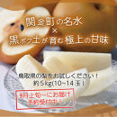 ＜数量限定＞&nbsp;梨&nbsp;新甘泉&nbsp;5kg&nbsp;鳥取県産&nbsp;梨&nbsp;なし&nbsp;しんかんせん&nbsp;旬&nbsp;フルーツ&nbsp;5ｷﾛ&nbsp;新鮮&nbsp;ふるさと納税&nbsp;おすすめ&nbsp;送料無料&nbsp;&nbsp;