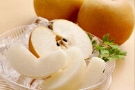 ＜数量限定＞&nbsp;梨&nbsp;新甘泉&nbsp;5kg&nbsp;鳥取県産&nbsp;梨&nbsp;なし&nbsp;しんかんせん&nbsp;旬&nbsp;フルーツ&nbsp;5ｷﾛ&nbsp;新鮮&nbsp;ふるさと納税&nbsp;おすすめ&nbsp;送料無料&nbsp;&nbsp;