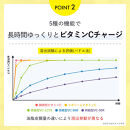 ELLISS&nbsp;ビタミンC&nbsp;1000（90粒×2袋）