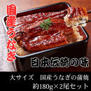 国産うなぎ蒲焼　大サイズ　約180g×2尾セット