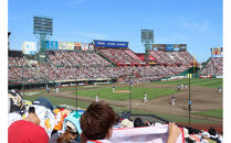 【数量限定】楽天イーグルス&nbsp;2026シーズン&nbsp;年間シート&nbsp;内野席1塁側A　[通路から3席目～]【&nbsp;イベント&nbsp;チケット&nbsp;野球&nbsp;人気&nbsp;券&nbsp;年間シート&nbsp;体験&nbsp;内野席&nbsp;仙台市&nbsp;楽天イーグルス&nbsp;スポーツ&nbsp;観戦&nbsp;スタジアム&nbsp;プロ野球&nbsp;シーズン&nbsp;パス&nbsp;】