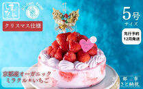 【先行予約】《2025年12月発送》【むしやしない】京都産オーガニックミラクル＊いちご(5号：4～6名様向け)［ 京都 一乗寺 豆乳 クリスマスケーキ グルテンフリー ヴィーガン アレルギー対応 人気 おすすめ 苺 ホールケーキ お取り寄せ 通販 ふるさと納税 ］