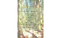 世界自然遺産の屋久島の水でゆっくり淹れた水出しコーヒー