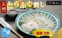 天然とらふぐ　ふぐ刺しセット（2～3人前）青磁皿27cm付