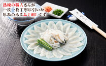 天然とらふぐ　ふぐ刺しミニセット（1～2人前）青砥皿21cm付