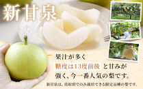 【先行予約】訳あり&nbsp;数量限定&nbsp;鳥取県産”新甘泉（しんかんせん）&nbsp;約5kg&nbsp;（10～18玉）≪2026年9月中旬頃出荷≫【梨&nbsp;フルーツ&nbsp;果物&nbsp;くだもの&nbsp;訳アリ&nbsp;旬&nbsp;国産&nbsp;新鮮&nbsp;人気&nbsp;おすすめ&nbsp;鳥取県&nbsp;琴浦町&nbsp;送料無料】