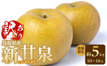 【先行予約】訳あり&nbsp;数量限定&nbsp;鳥取県産”新甘泉（しんかんせん）&nbsp;約5kg&nbsp;（10～18玉）≪2026年9月中旬頃出荷≫【梨&nbsp;フルーツ&nbsp;果物&nbsp;くだもの&nbsp;訳アリ&nbsp;旬&nbsp;国産&nbsp;新鮮&nbsp;人気&nbsp;おすすめ&nbsp;鳥取県&nbsp;琴浦町&nbsp;送料無料】