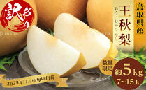 訳あり&nbsp;数量限定&nbsp;鳥取県産”王秋梨（おうしゅうなし）”&nbsp;約5kg&nbsp;（7～15玉）≪2025年11月中旬頃出荷≫【梨&nbsp;フルーツ&nbsp;果物&nbsp;くだもの&nbsp;訳アリ&nbsp;旬&nbsp;国産&nbsp;新鮮&nbsp;人気&nbsp;おすすめ&nbsp;鳥取県&nbsp;琴浦町&nbsp;送料無料】