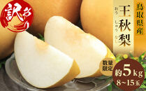 訳あり&nbsp;数量限定&nbsp;鳥取県産”王秋梨（おうしゅうなし）”&nbsp;約5kg&nbsp;（7～15玉）≪2025年11月中旬頃出荷≫【梨&nbsp;フルーツ&nbsp;果物&nbsp;くだもの&nbsp;訳アリ&nbsp;旬&nbsp;国産&nbsp;新鮮&nbsp;人気&nbsp;おすすめ&nbsp;鳥取県&nbsp;琴浦町&nbsp;送料無料】