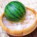 ［先行予約］厳選 小玉すいか Ｍサイズ／１玉入り［農家直送］［和歌山県産］［MS126］