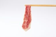 ［A4・A5］熊野牛&nbsp;切り落とし&nbsp;1kg（200g×5P）