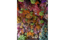 花の異空間　レンタルスペース基本プラン（3名様・1日貸し）〈日am&nbsp;8:00～pm8:00(最大7H)〉