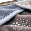 【2枚組】スーパーロングサイズ&nbsp;洗える&nbsp;ふんわり軽量毛布&nbsp;チャコール&nbsp;NM-1422-2P-CY