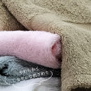 【フェイスタオル4枚組】しなやかオーガニックコットンタオル（34×80cm）ナナイロF4-ST