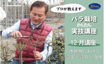 プロが教えるバラ栽培実技講座【12月：剪定・誘引・元肥】