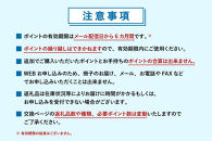 あとから選べるWEBカタログギフト（寄附100万円コース）300000ポイント神戸市