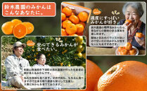 早生みかん&nbsp;約3kg&nbsp;希少な小粒&nbsp;2S～3S&nbsp;サイズ&nbsp;混合&nbsp;11月中旬～12月下旬頃に鈴木みかん農園より農園直送&nbsp;3Sサイズ&nbsp;2Sサイズ&nbsp;2S&nbsp;SS&nbsp;小玉&nbsp;小さい※北海道・沖縄・離島への配送不可&nbsp;ミカン&nbsp;蜜柑&nbsp;mikan&nbsp;温州みかん&nbsp;温州ミカン