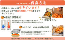 早生みかん&nbsp;約3kg&nbsp;希少な小粒&nbsp;2S～3S&nbsp;サイズ&nbsp;混合&nbsp;11月中旬～12月下旬頃に鈴木みかん農園より農園直送&nbsp;3Sサイズ&nbsp;2Sサイズ&nbsp;2S&nbsp;SS&nbsp;小玉&nbsp;小さい※北海道・沖縄・離島への配送不可&nbsp;ミカン&nbsp;蜜柑&nbsp;mikan&nbsp;温州みかん&nbsp;温州ミカン