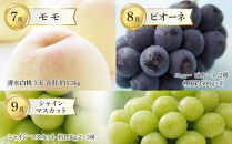 【定期便12回】岡山市の特産品を毎月お届けします （お肉・お酒・スイーツ・アイス・フルーツ）