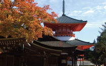 ＜世界遺産高野山＞&nbsp;宿坊&nbsp;宿泊割引チケット&nbsp;9,000円分