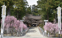 ＜世界遺産高野山＞&nbsp;宿坊&nbsp;宿泊割引チケット&nbsp;9,000円分