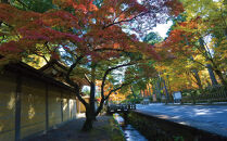 ＜世界遺産高野山＞&nbsp;宿坊&nbsp;宿泊割引チケット&nbsp;9,000円分