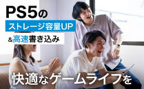 PS5拡張用ヒートシンク一体型SSDケース&nbsp;エンクロージャー&nbsp;NX-EN1SE